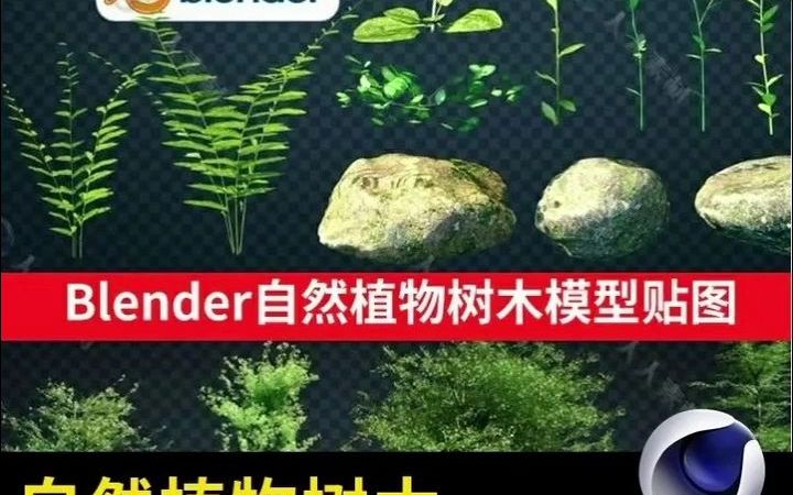 Blender自然植物树木枝干石头场景模型贴图3D模型三维素材哔哩哔哩bilibili