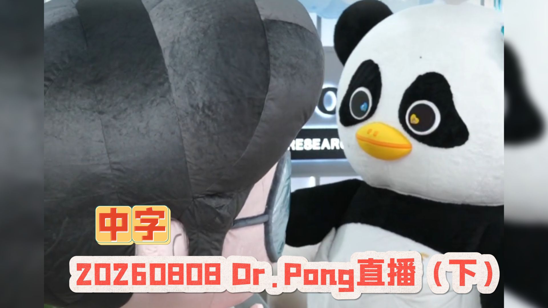 【中字Lunar】20260808 DR.Pong直播（下）