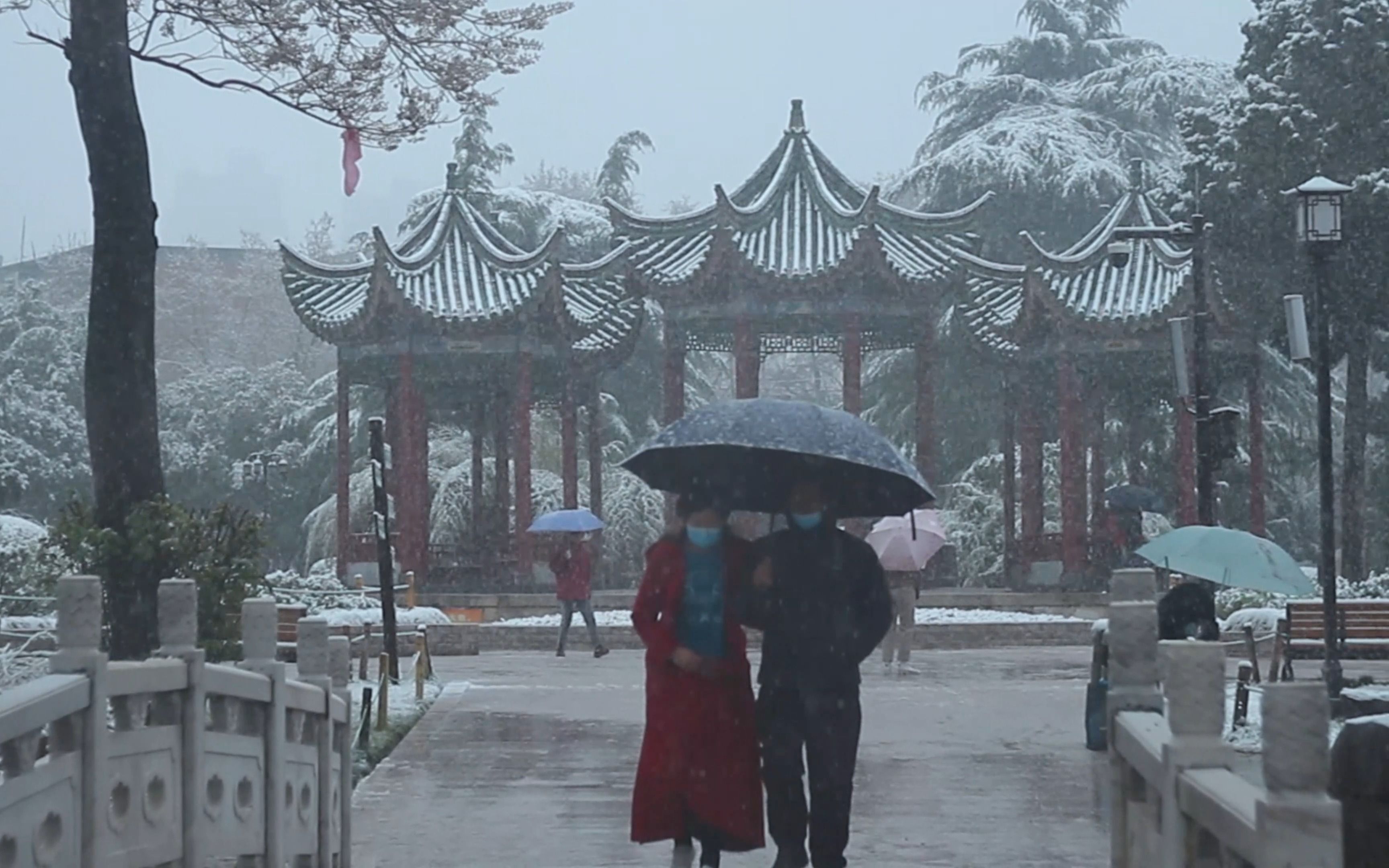 同淋雪,共白头【郑州人民公园雪景·4k]