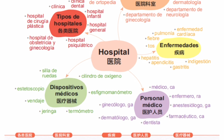 21天思维导图西语词汇打卡|Hospital 医院哔哩哔哩bilibili