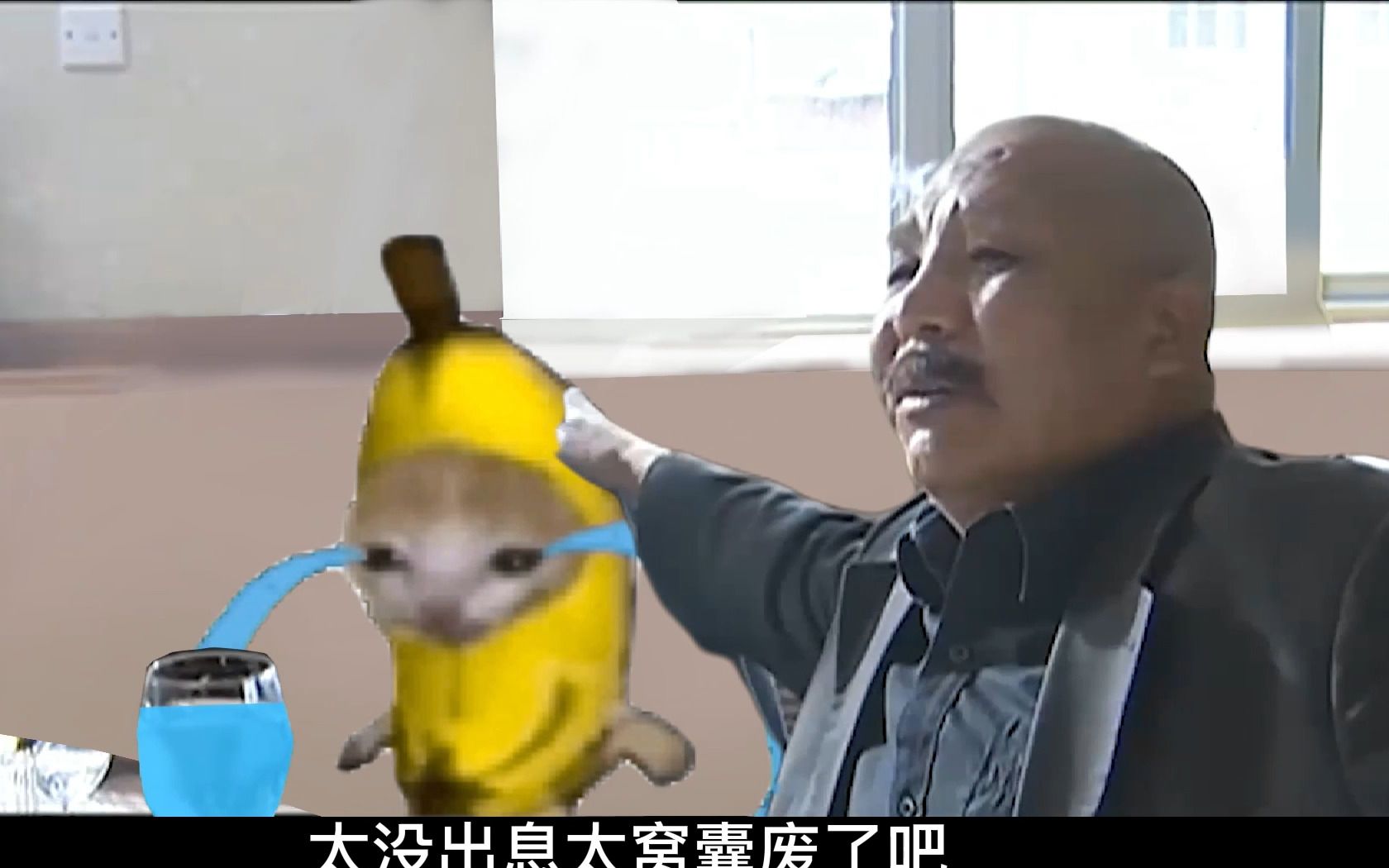 [图]这是我弟弟，香蕉猫