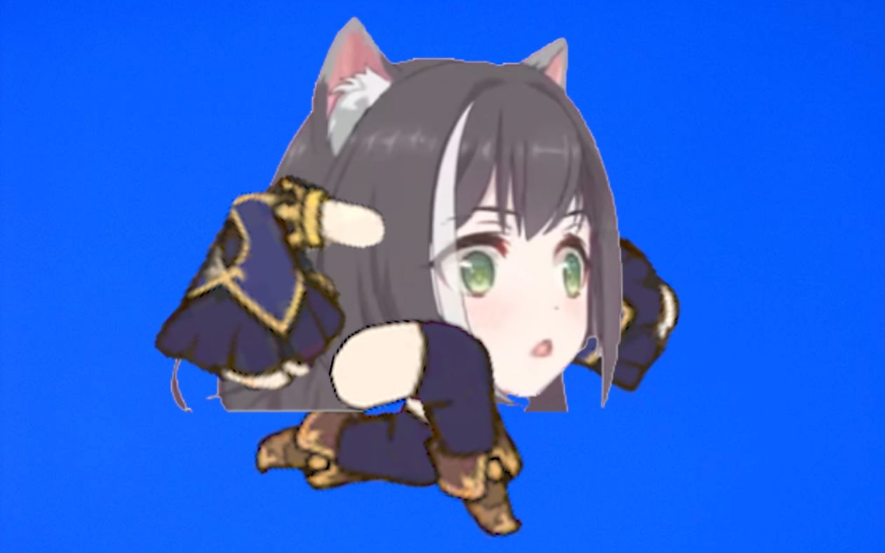 停不下来的臭鼬头bb