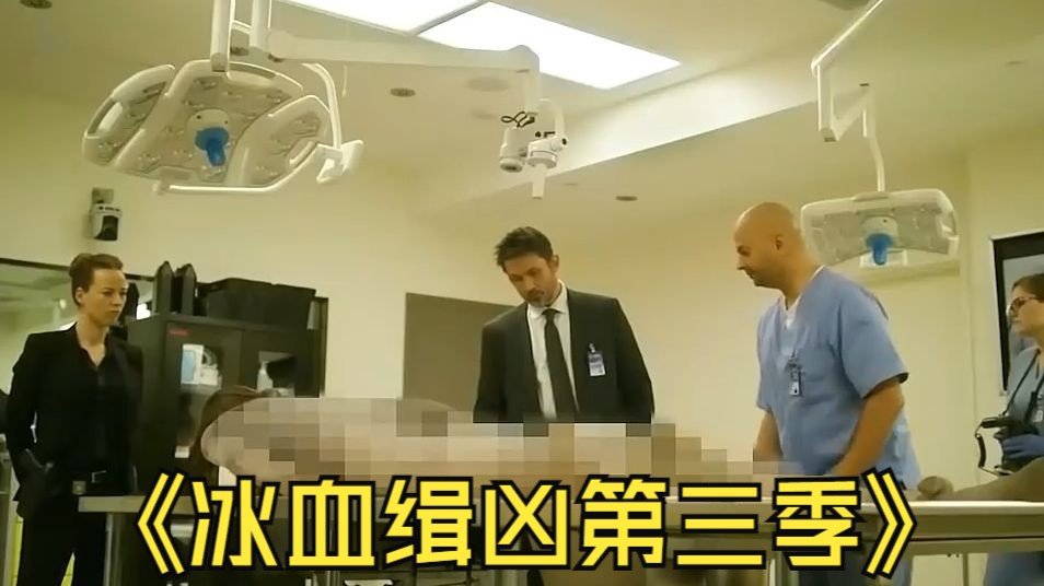 【完整版】14分钟一口气看完悬疑英剧《冰血缉凶第三季》!哔哩哔哩bilibili