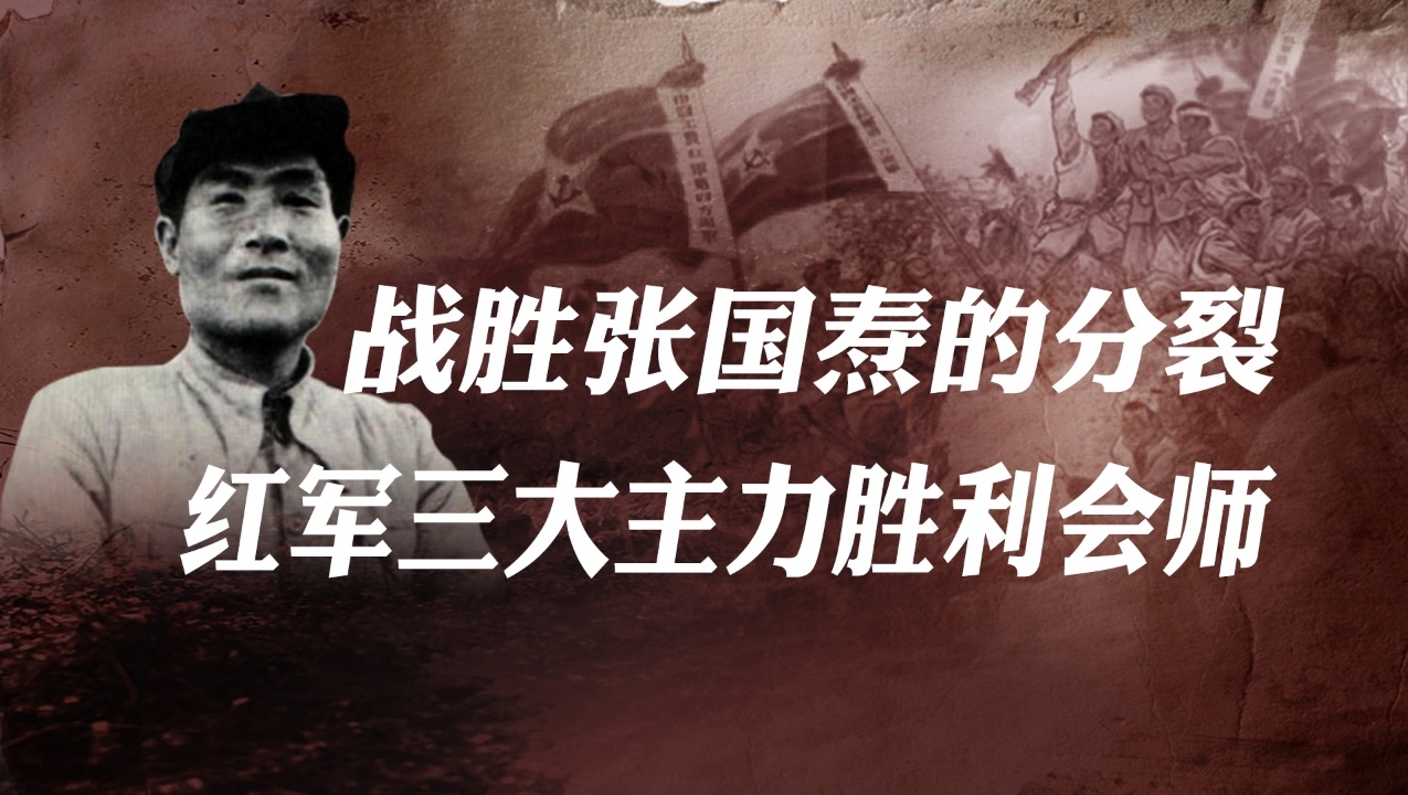 让红军长征付出惨重代价的，别忘了还有张国焘！【王立华12】-金灿荣教授-金灿荣教授-哔哩哔哩视频