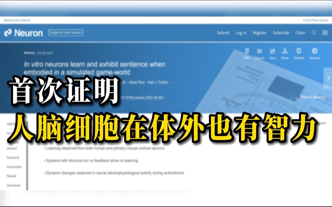 首次证明人脑细胞在体外也有智力:人类和小鼠神经元在培养皿中学会了打游戏哔哩哔哩bilibili