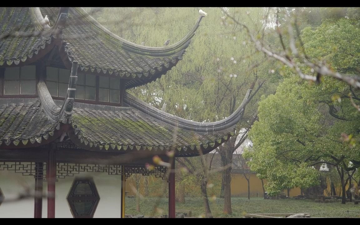 【白噪音/环境音】50分钟 寺庙 鸟鸣 雨声 流水声哔哩哔哩bilibili