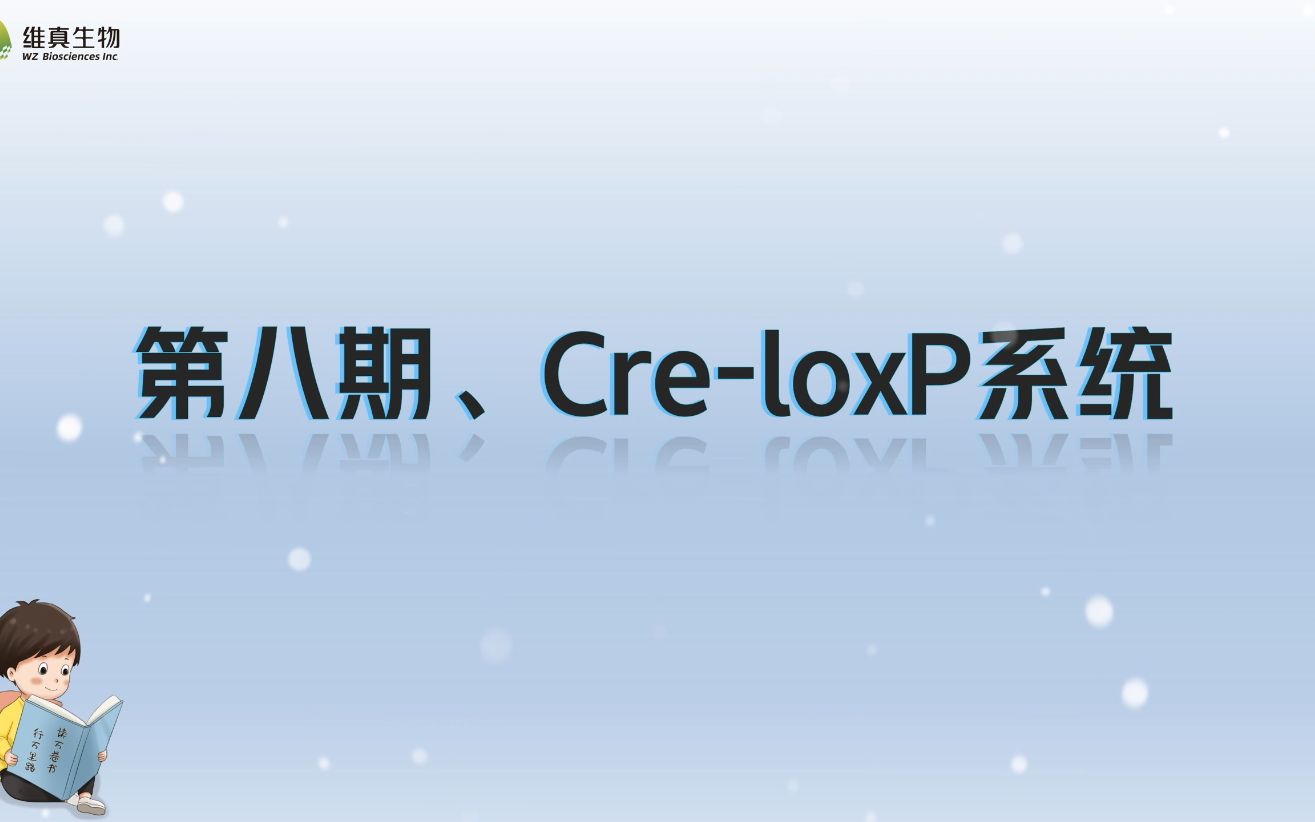 【维真生物 #分子克隆专题】—— 第八期 CreloxP系统【知识分享】哔哩哔哩bilibili