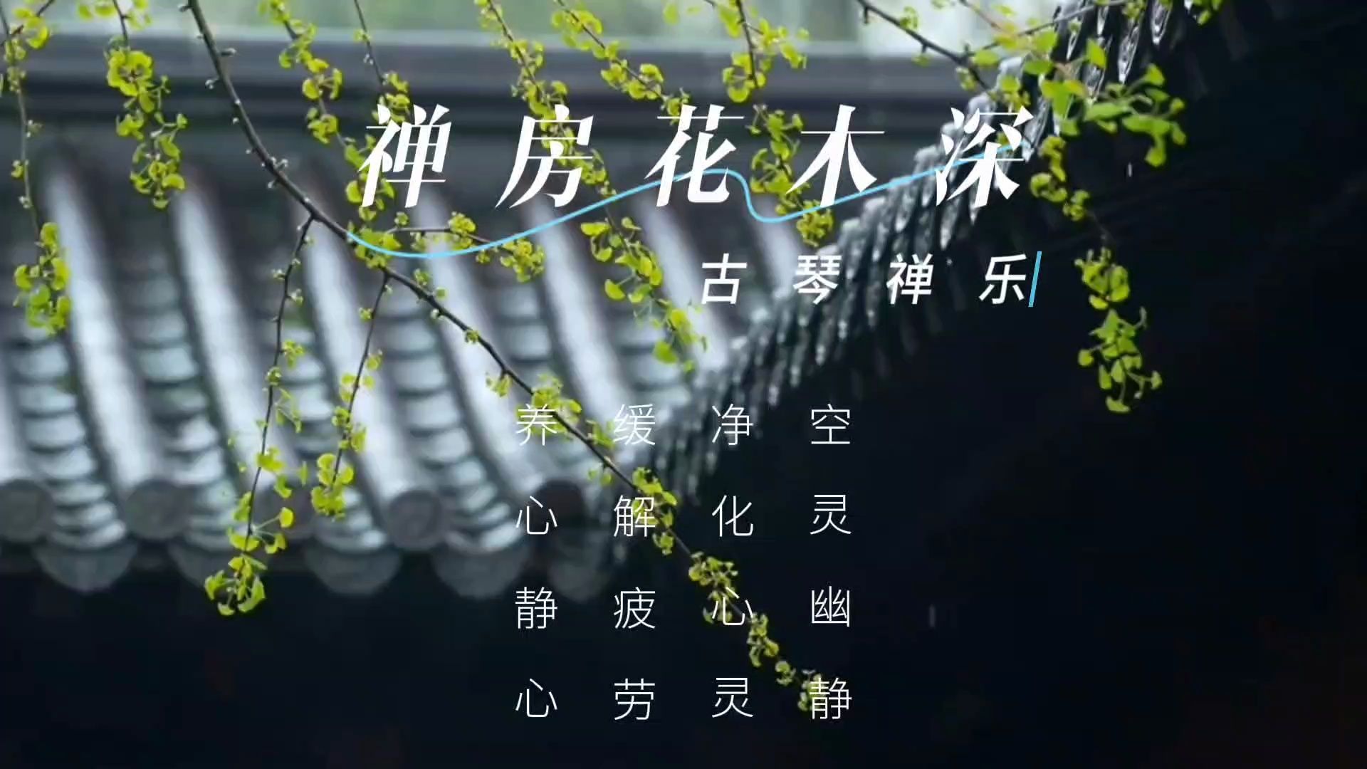 【音乐静听】99古琴禅乐《禅房花木深》空灵幽静,净化心灵,缓解疲劳
