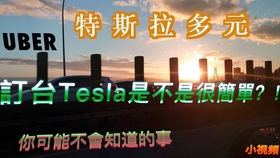 特斯拉didi之台湾老司机想在台湾订一台特斯拉容易吗 Uber Tesla 台湾didi 台湾老司机 特斯拉你可能不知道的事 哔哩哔哩