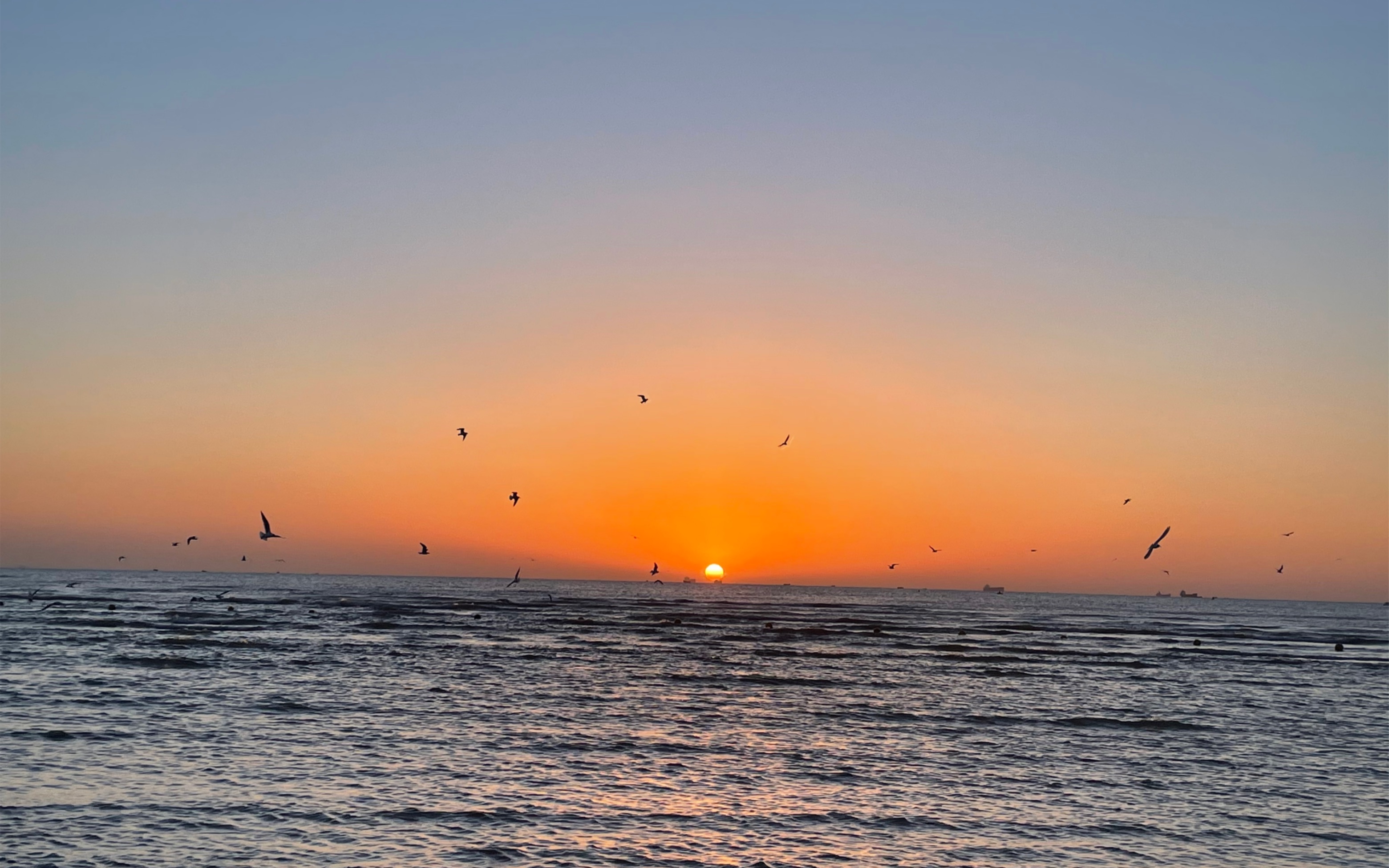 北戴河鸽子窝日出93