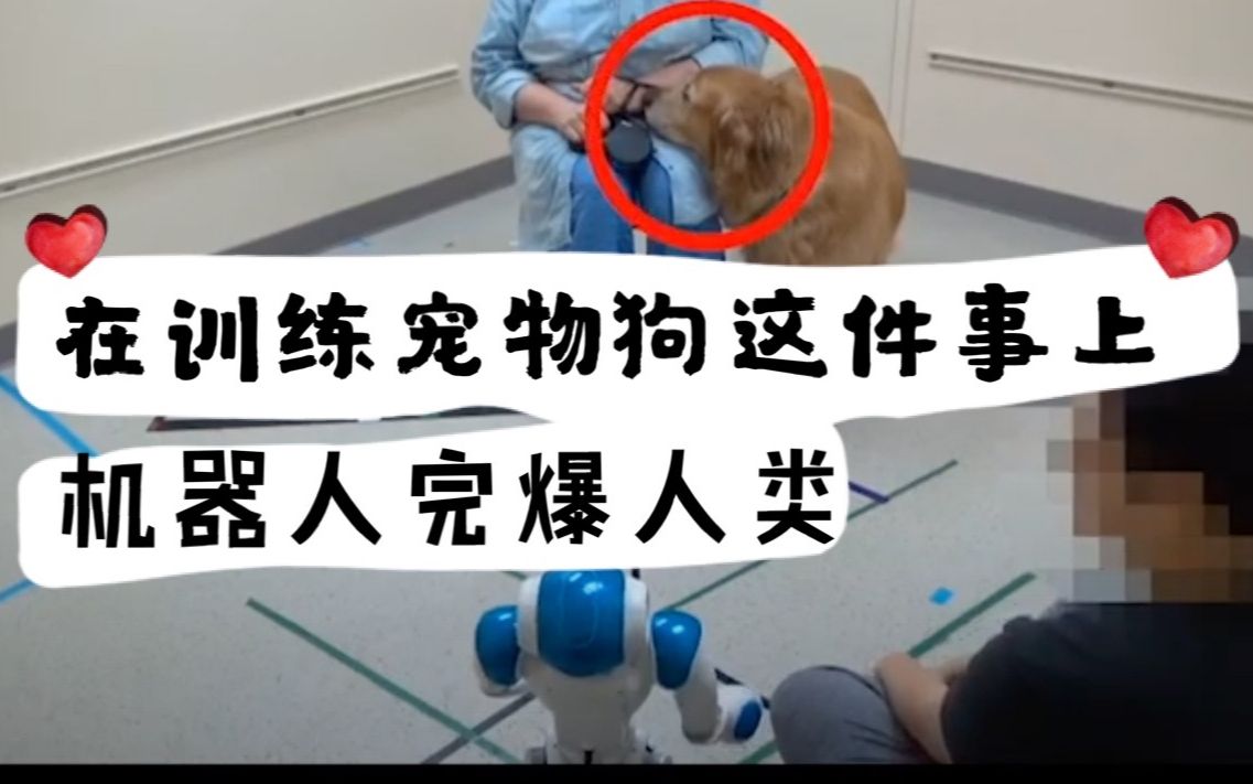 在训练宠物狗这件事儿上,人类可能还真比不上机器人