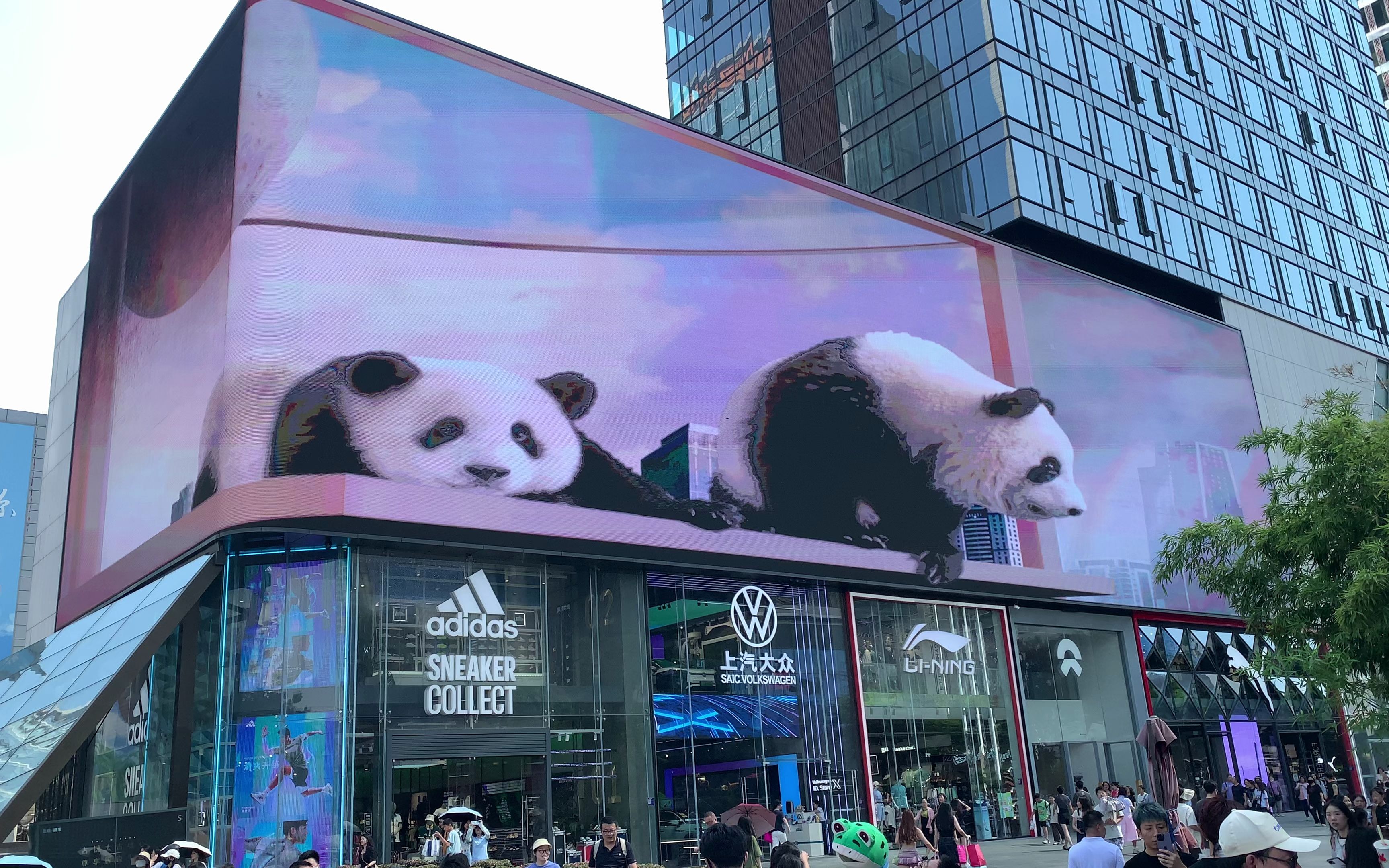 成都太古里街头裸眼3d看熊猫