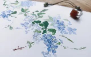 水彩花卉 哔哩哔哩 Bilibili