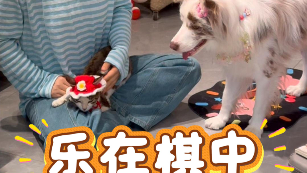 金砖：今天不能输！