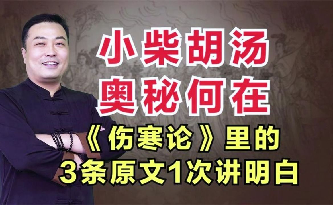 经方 伤寒论:小柴胡汤奥秘何在伤寒论关于小柴胡汤的3条原文中医详细解读  邹勇 伤寒论教学 易水医方中医教学 学中医哔哩哔哩bilibili