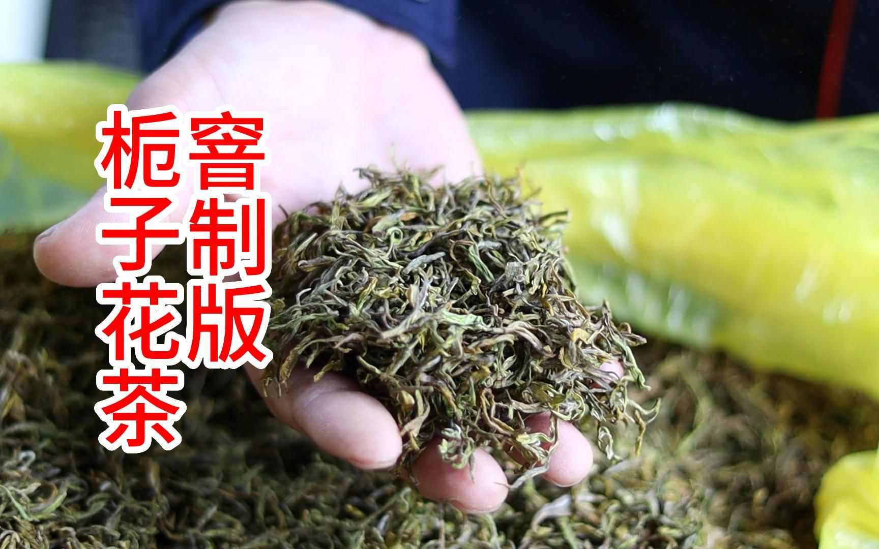 [图]家庭版窨制花茶--栀子花茶，花香和茶香的完美融合，制法简单，花茶原来可以这么做