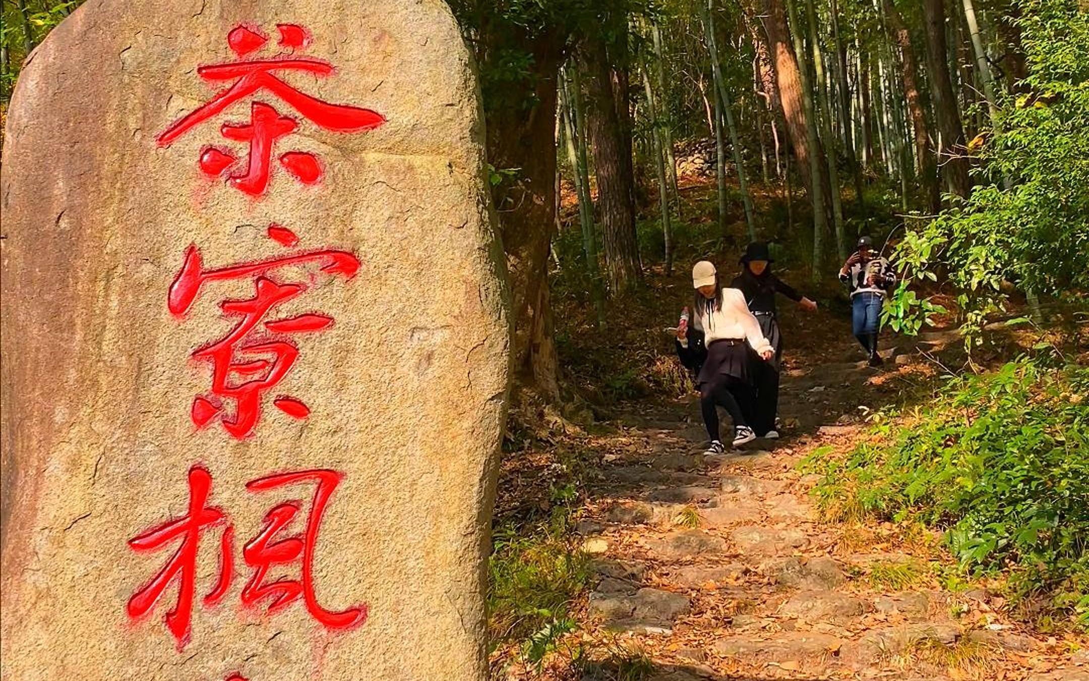 茶寮枫岭是临海八景之一,黄、红、青色相间的枫树林层林尽染,好一派诗情画意,是以前温州通往杭州的必经之路#茶辽古道#旅行推荐官#台州的秋天哔哩...