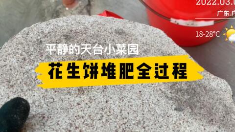 为了种瓜种豆的肥料 今天来自制有机肥 花生饼 菜园废物 猛料有机肥 哔哩哔哩 Bilibili
