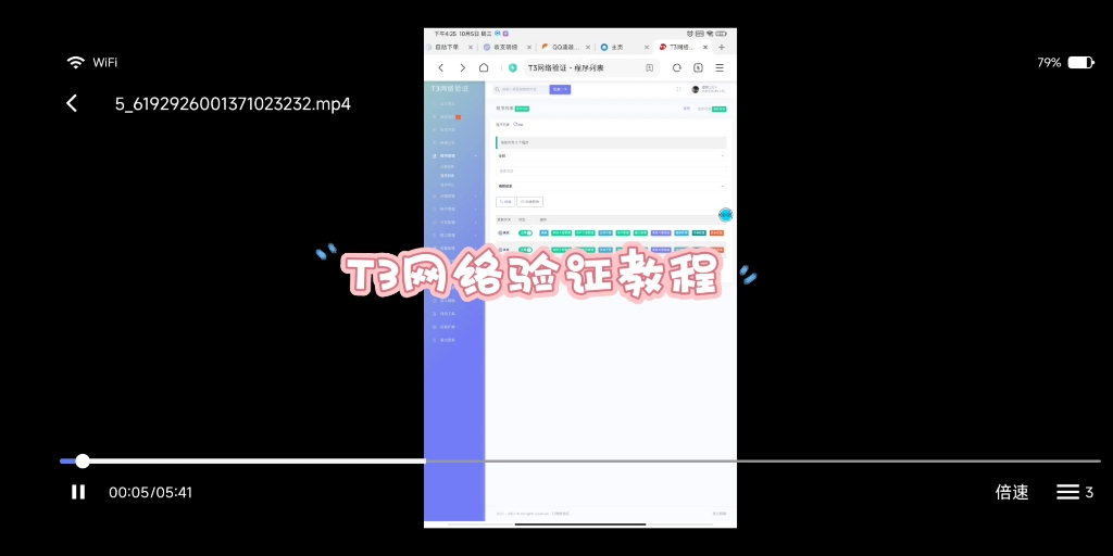 T3网络验证教程