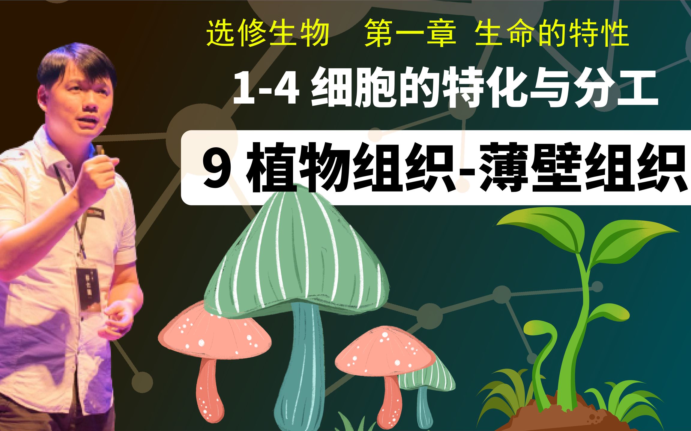 选修生物14.9 植物组织薄壁组织哔哩哔哩bilibili