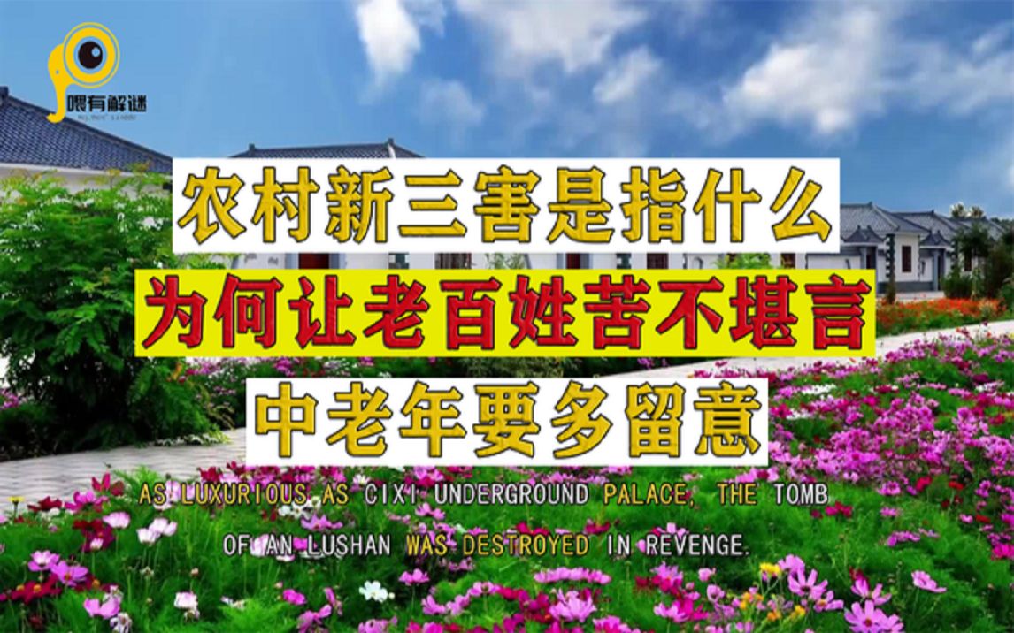 农村新三害是指什么,为何让老百姓苦不堪言,专门针对中老年人?哔哩哔哩bilibili