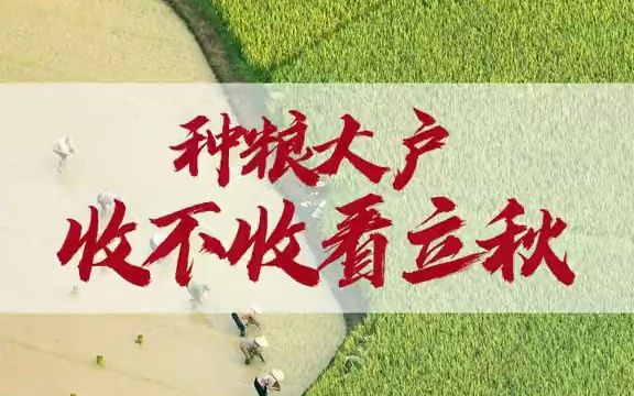 [图]【三农知识】六月立秋颗粒无收，七月立秋粮食成丘。种粮大户和立秋有什么关系？收不收真的看立秋吗？