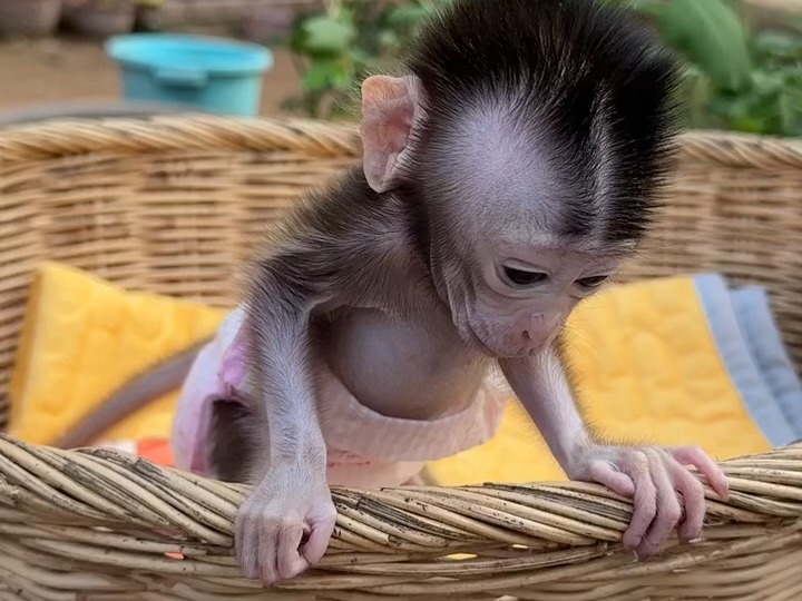 so cute baby 噢噢噢噢