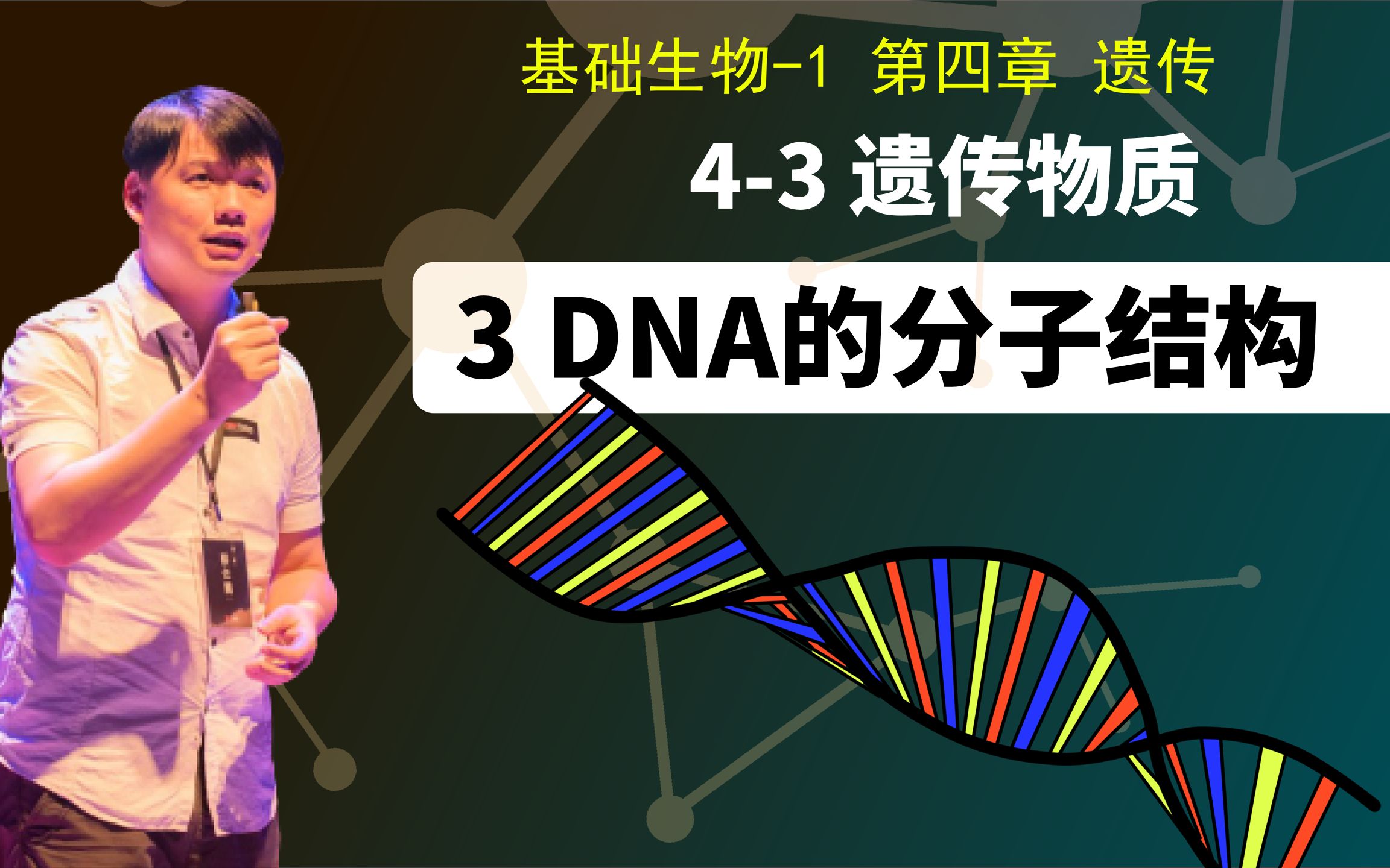 [图]基础生物学4-3.3 DNA的分子结构