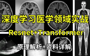 基于深度学习在医学领域实战：Resnet+Transformer！医学分割应用与数据集分类实战！源码解析+原理推导+项目实战！