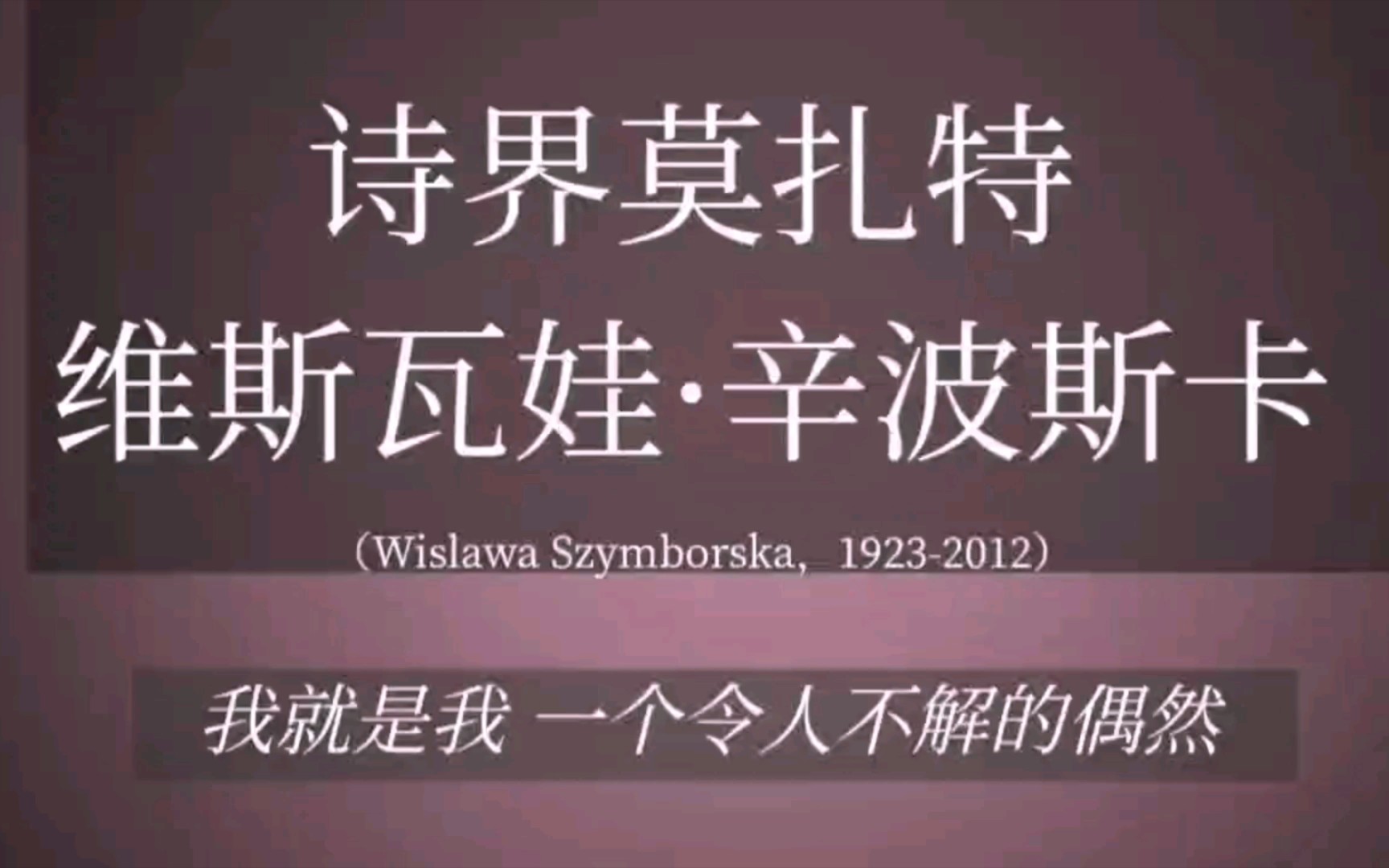 “我就是我,一个令人不解的偶然”|诗界莫扎特 维斯瓦娃ⷮŠ辛波斯卡哔哩哔哩bilibili