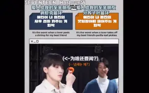 【SEVENTEEN】Hoshi：剥虾VS分苏子叶 之 至亲朋友竟是我自己