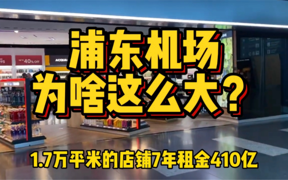 [图]一共只有四条跑道，但为什么浦东机场，会比澳门还大？