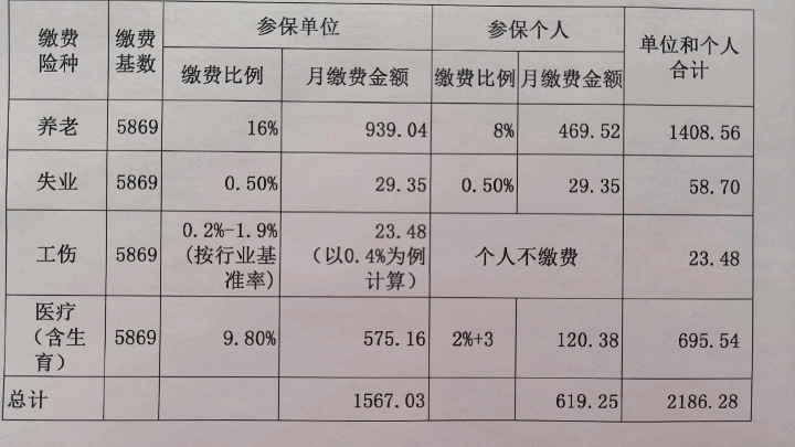 2022年7月社保基数哔哩哔哩bilibili