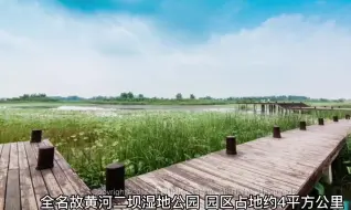 Descargar video: 自驾游徐州丰县，果木之乡