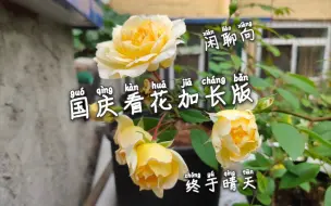 Download Video: 国庆看花加长版