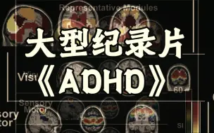 Descargar video: 大型纪录片《ADHD》