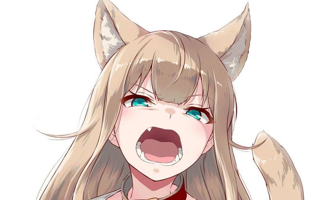 普通人脸识别速度很渣?