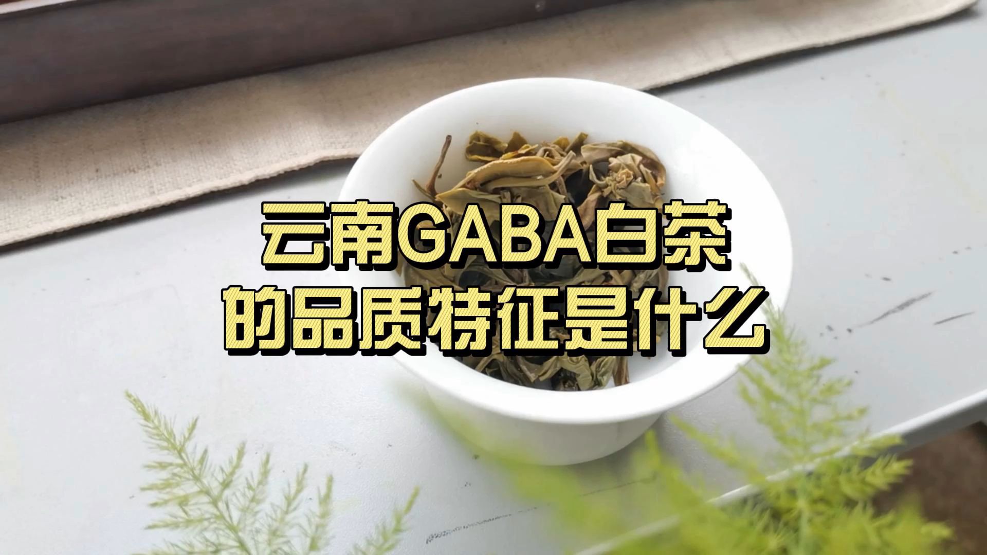 云南GABA白茶的品质特征是什么?哔哩哔哩bilibili