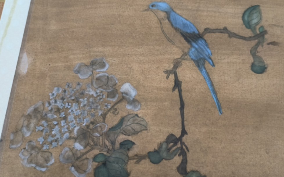 宋人小品—琼花翠禽图