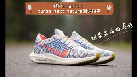 Nike pegasus clearance turbo runrepeat