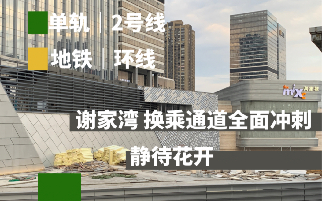 【静待花开】重庆轨道交通谢家湾站 换乘通道 进入全面冲刺哔哩哔哩bilibili