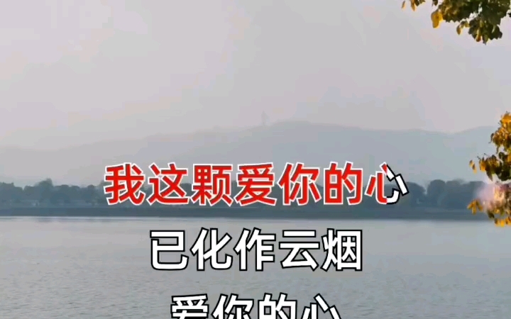 歌曲混剪2:总有你喜欢的一首歌第4408期哔哩哔哩bilibili