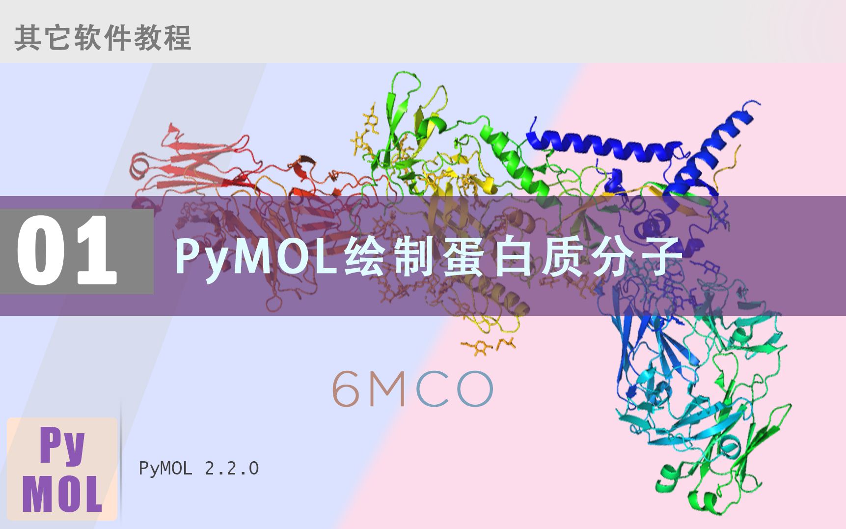 Pymol中7步完成蛋白配体复合物作图
