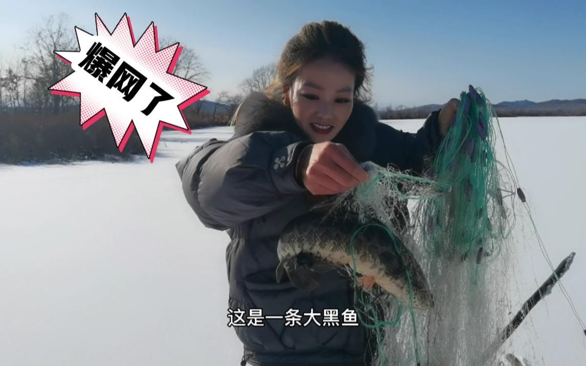 乌苏里江鱼爆网了!鲤鱼,黑鱼棒子,小白鱼,江虾太过瘾啦!