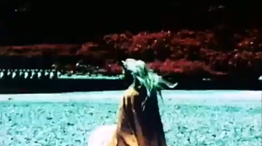 松本俊夫実験映像集Ⅱ 視想の錬金術「アートマン」 1975_哔哩哔哩_bilibili