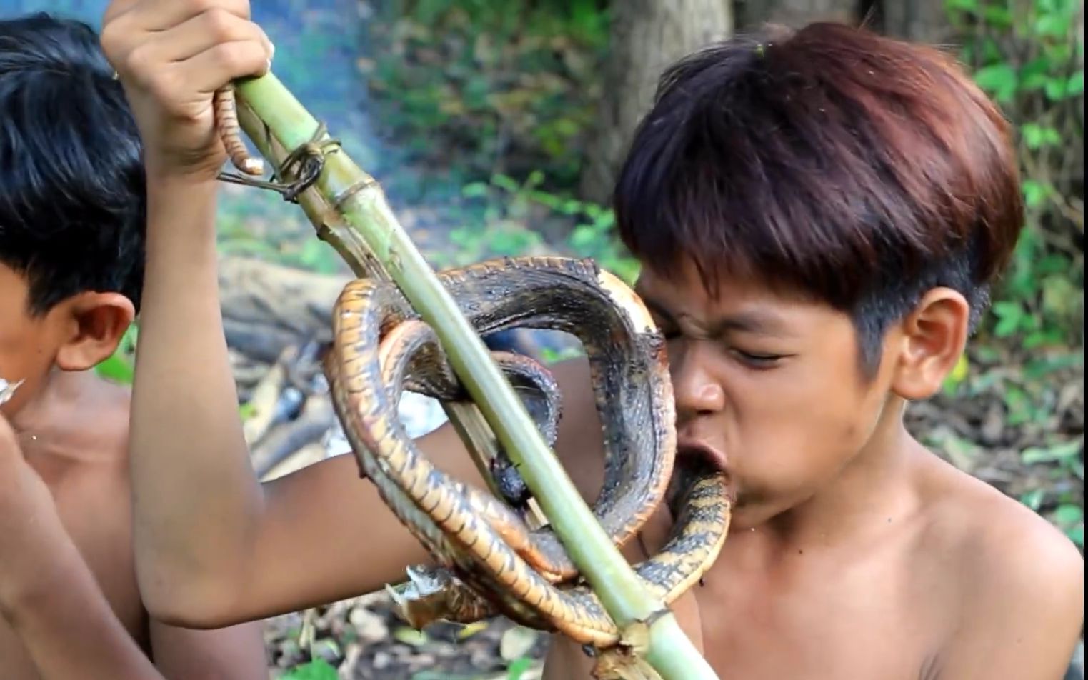 小野人教你怎么捕蛇烹蛇,真香