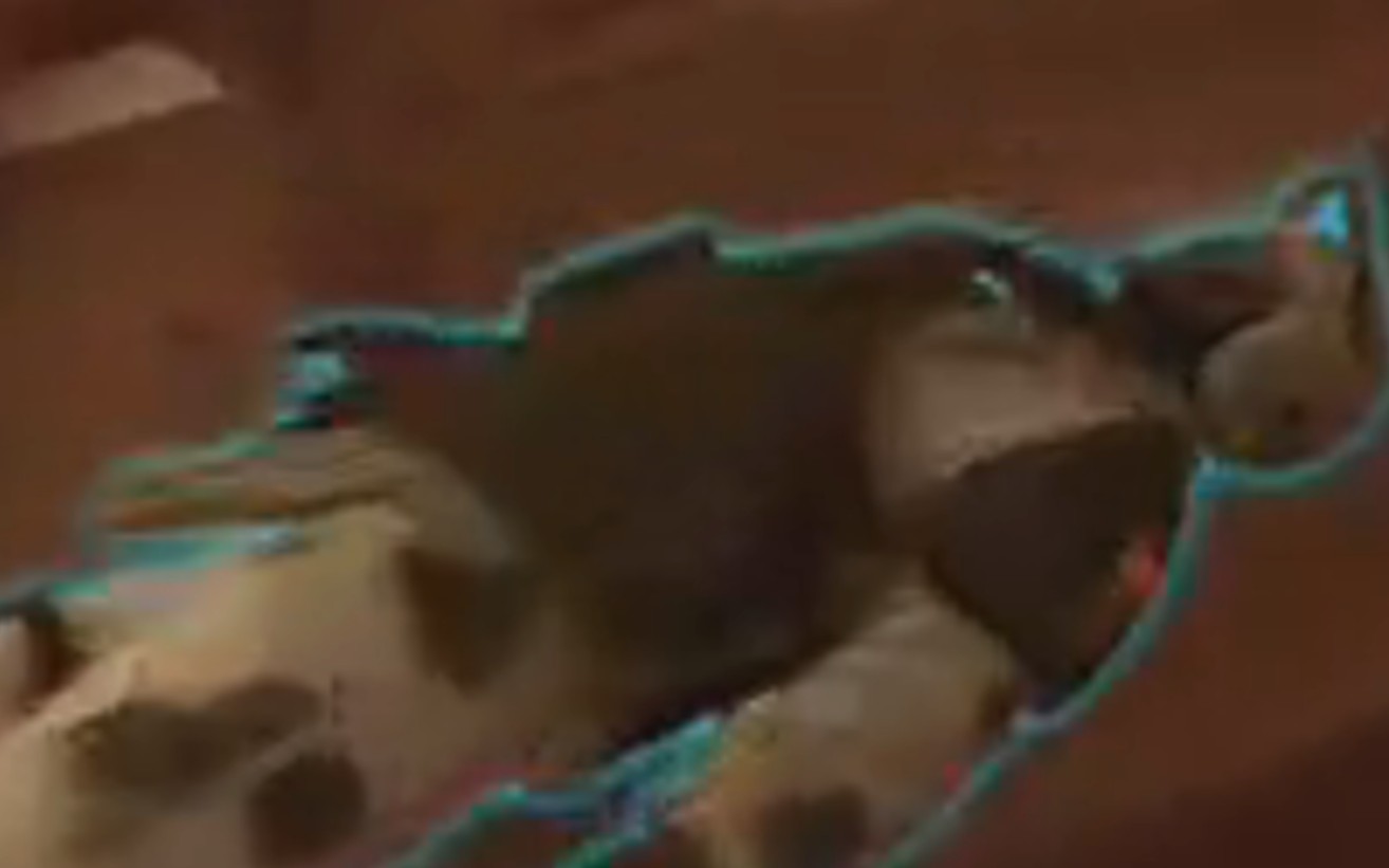 我西女口乞尸米