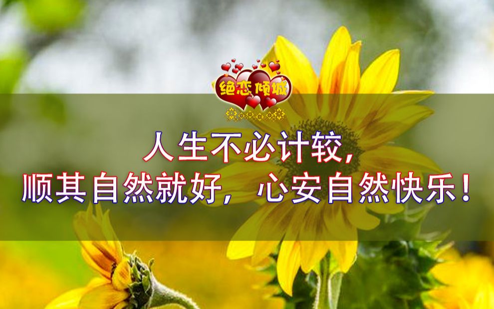 人生不必计较,顺其自然就好,心安自然快乐!