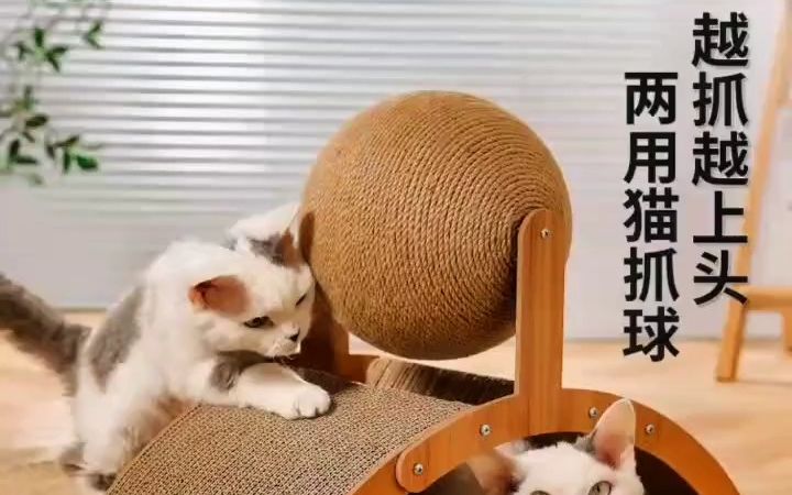 猫抓板耐磨耐抓不掉屑立式剑麻猫抓球猫玩具自嗨解闷磨爪器猫爪板记录猫咪日常!哔哩哔哩bilibili