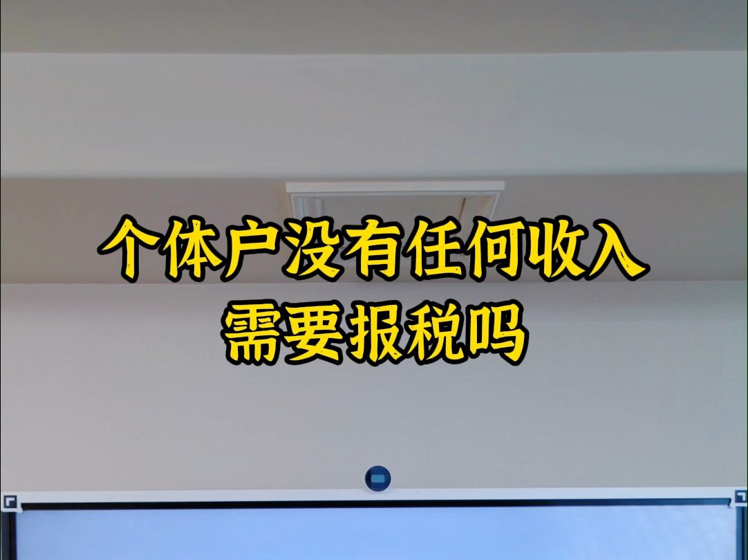 个体户没有任何收入,需要报税吗哔哩哔哩bilibili